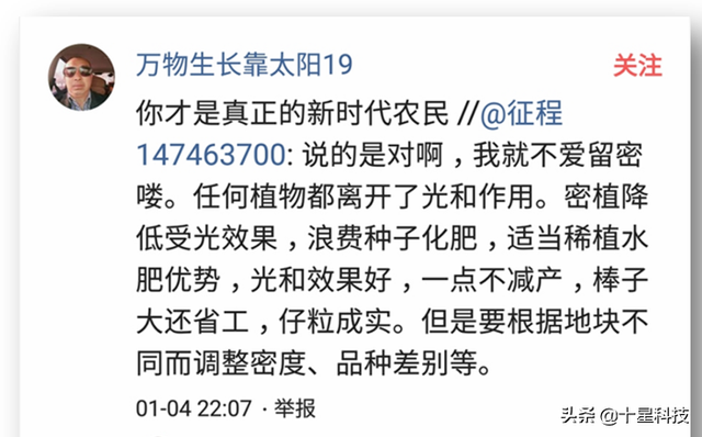 中外玉米专家5个证据：密植玉米，这一个条件必须满足