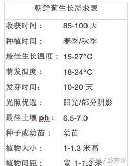 这款蔬菜，网上大V都在晒，被誉为“蔬菜之皇”，种植前景极好！