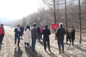 河北大学人参种植基地(短鼻象人参娃娃种植基地投资签约仪式在清原举办)