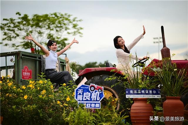 在花园里研学，在研学中学习花卉园林艺术，佛山旺林艺术花园研学