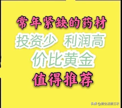 哪些药材紧缺？种植这些品种准没错，建议收藏