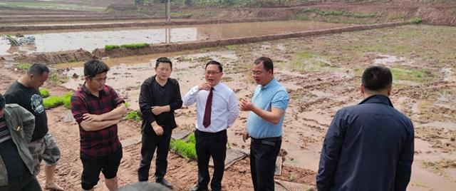 认识和理解水稻土，提升种植管理水平，提高水稻产量