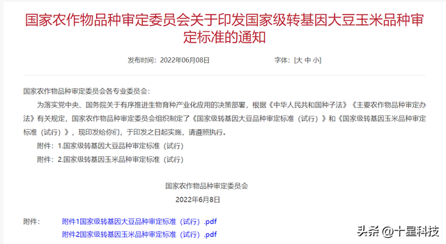 玉米品种2023年“三大新变局”：抗高温，抗虫，免控旺而不怕倒伏