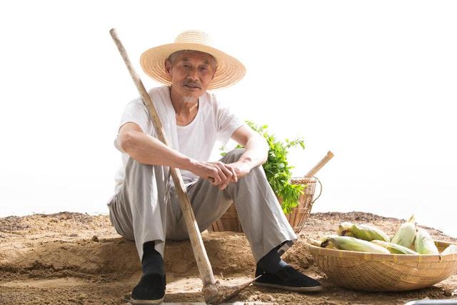 在农村，土地种植什么最赚钱呢？快来看看你家种植了吗？