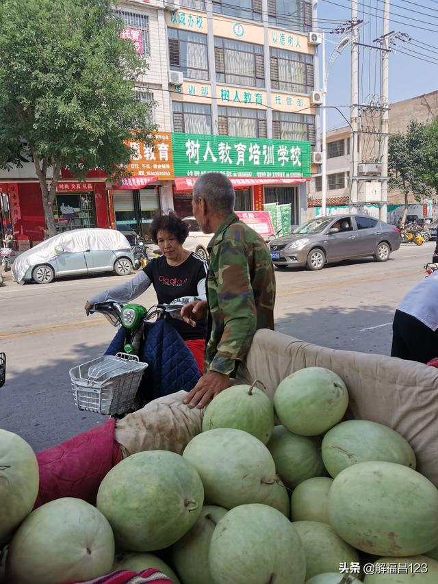 老袁辛苦三个月，可以挣三万元，种的什么宝贝啊