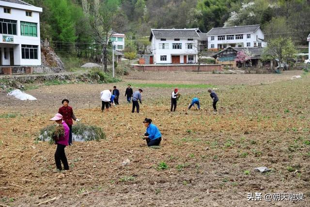 【民生动态】小小野菊花铺“开”致富路