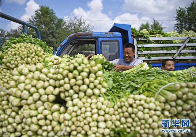 中国扶贫的西海固答卷——宁夏奋进60年巡礼之脱贫攻坚篇