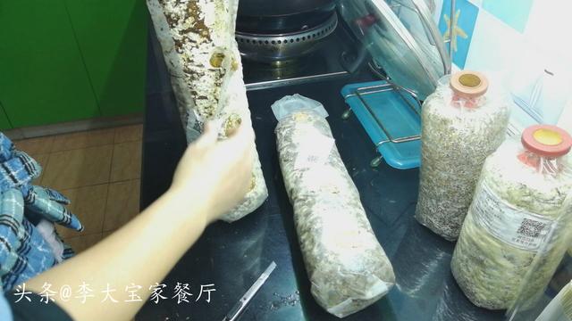 学李子柒种蘑菇，香菇多到吃不完，青菜这下有伴了，全家爱吃