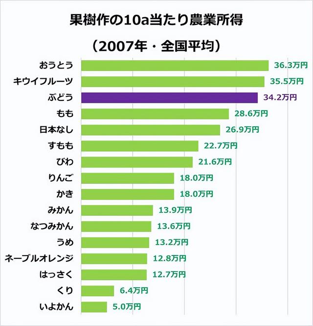 日本葡萄种植者一年能挣多少钱，每年赚取高额利润就是这样做的