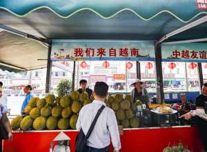 广西能种植榴莲吗(港媒：越南积极增加对华榴莲出口)