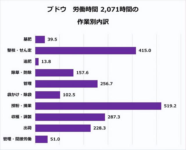 日本葡萄种植者一年能挣多少钱，每年赚取高额利润就是这样做的