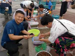 哪里有种植爬蚱指导的(一亩能赚1万多元阳信小金蝉“爬”遍大半个中国)