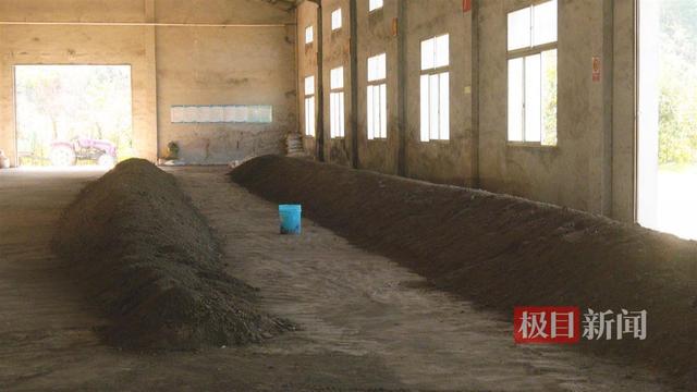 武汉新洲绿化废弃物再利用，“废料”变肥料反哺土壤