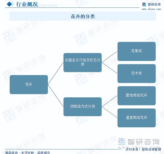 【前景趋势】一文读懂2023年云南花卉行业未来发展前景