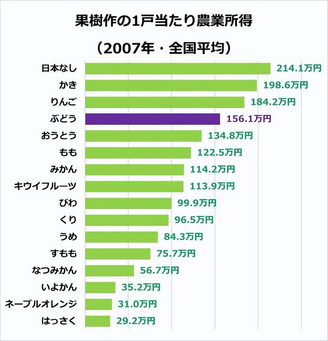 日本葡萄种植者一年能挣多少钱，每年赚取高额利润就是这样做的