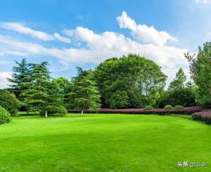 草地的种植(草坪在园林景观中的分类应用和养护管理)