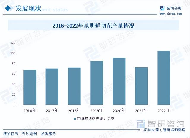 【前景趋势】一文读懂2023年云南花卉行业未来发展前景