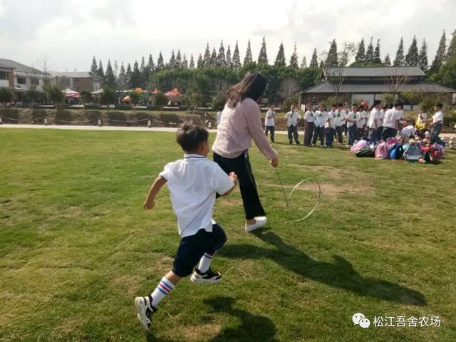 逛湿地、做陶艺……松江这些空气好、风景美的地方喊你来“白相”