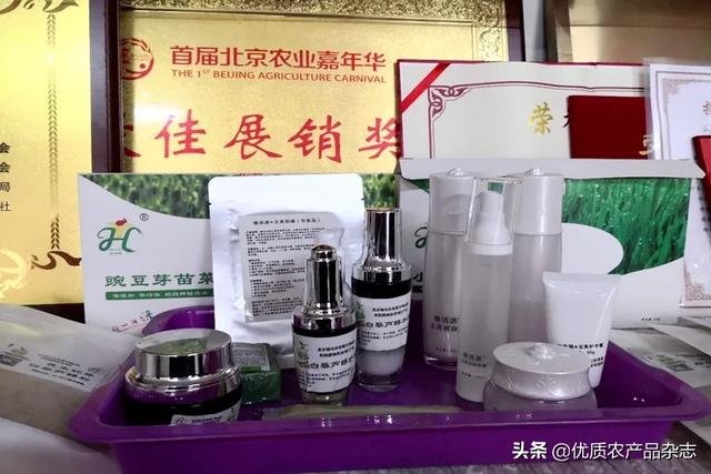 不用土壤不用肥，一张白纸种芽菜！张桂琴：小芽菜成就新型农业大梦想