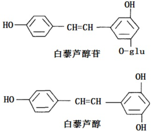 虎杖入侵多国臭名昭著，在我国却被大量种植，带领大批农民致富