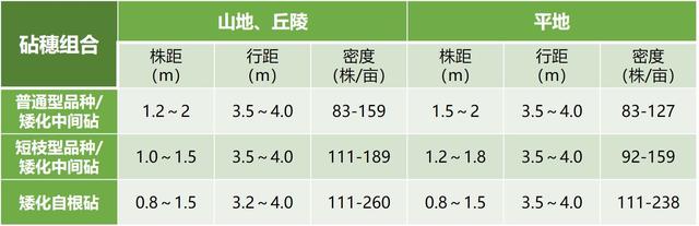 在黄土高原种苹果，要注意啥？品种、砧木要选好，栽后管理不能少