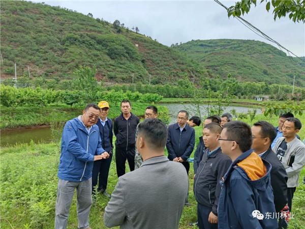 东川区林草局组织花椒示范种植异地培训