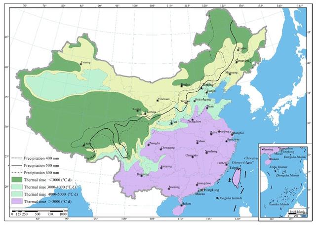 地膜种粮增产3000万吨 农科院最新研究讲清地膜实效