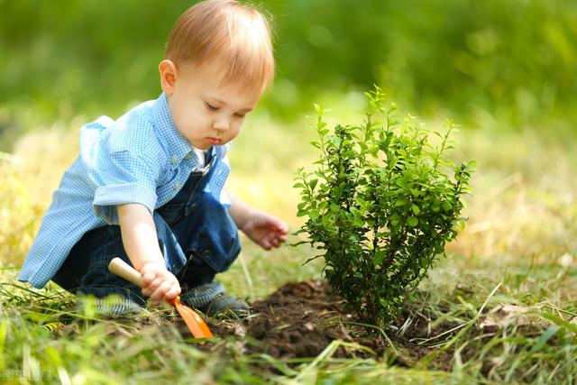 幼儿在种植活动中学会拥抱大自然，培养环保理念，提高自主能力