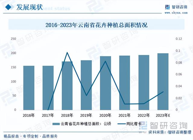 【前景趋势】一文读懂2023年云南花卉行业未来发展前景