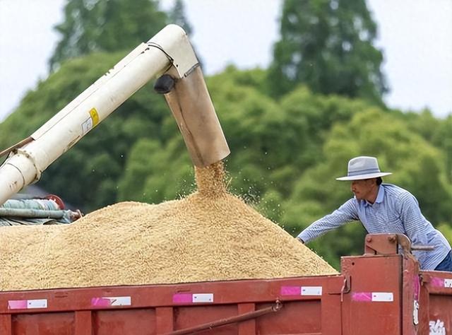 2023粮补迎来好消息：粮食补贴一亩地补偿多少钱？哪些人可领？