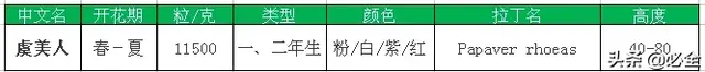 常见的16种超耐旱耐热的草花