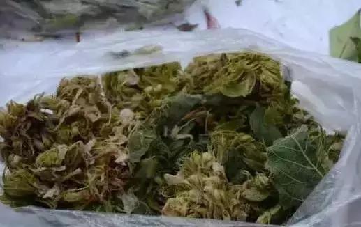 普通的蔬菜已经满足不了南宁人了，吃过这些菜才叫ging