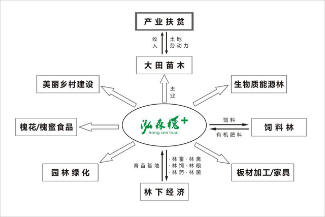 槐花好吃，市场价格高，农村为何没有人专门种植槐树发财呢？