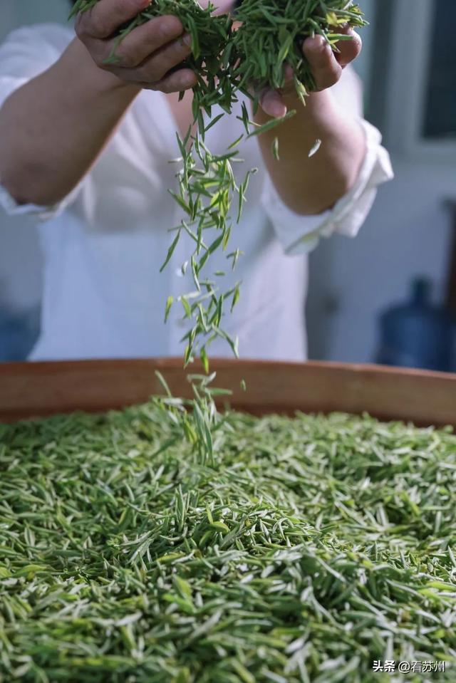 关于江南春天的味道，都在这杯茶里