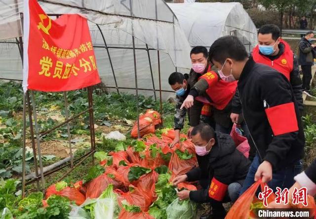 湖南各地向湖北捐赠各类蔬菜600余吨