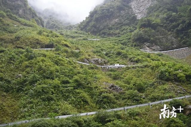 “山葵村”：绝壁深谷里的产业奇迹｜扶贫凉山 顺德行动