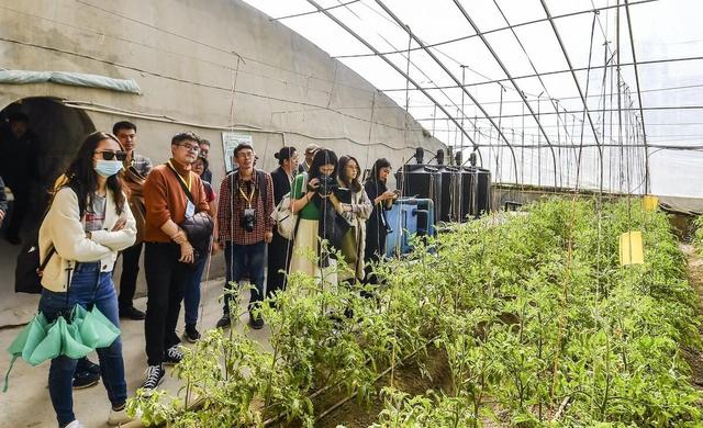 耕地能多样化种植了！新规明确4类作物可以种，包括栽树种药材