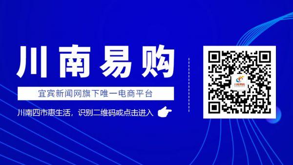 粑粑柑即将成熟上市 宜宾少娥山上果农管护忙