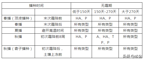 常见的16种超耐旱耐热的草花