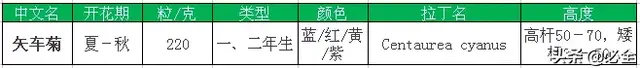 常见的16种超耐旱耐热的草花