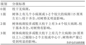 适合山西种植的名贵树(寒富苹果在山西晋北地区引种表现 ， 来自果树核心期刊《果农之友》)