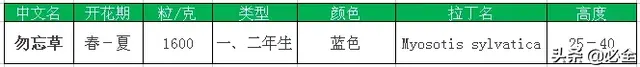 常见的16种超耐旱耐热的草花