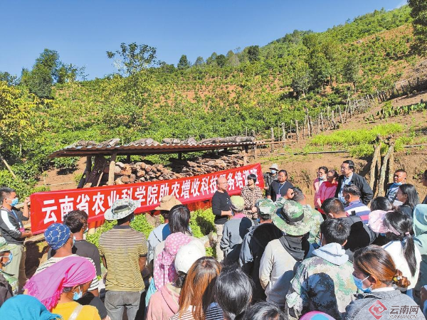 云南省农科院实施“百团千员助农增收三年行动” 为乡村振兴贡献科技力量