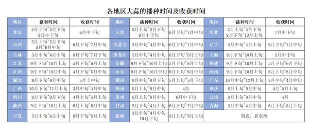 大蒜什么时候种？采用哪种种植方法？种植后如何管理？一文全搞懂