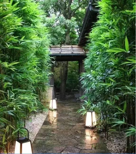 九种方法教你，如何运用竹子巧妙施工造景