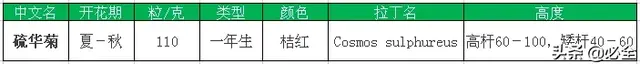 常见的16种超耐旱耐热的草花