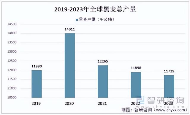 2023年全球黑麦产销情况分析：欧盟为黑麦最大的生产地和消费地