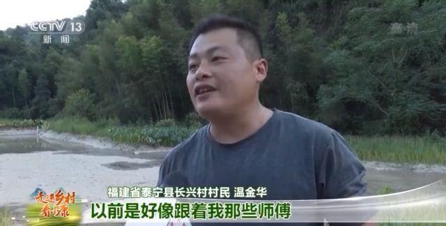 走进乡村看小康丨飞檐走壁采药人 小小石斛大产业