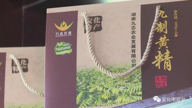 安化专家建议：种植黄精不宜盲目引种