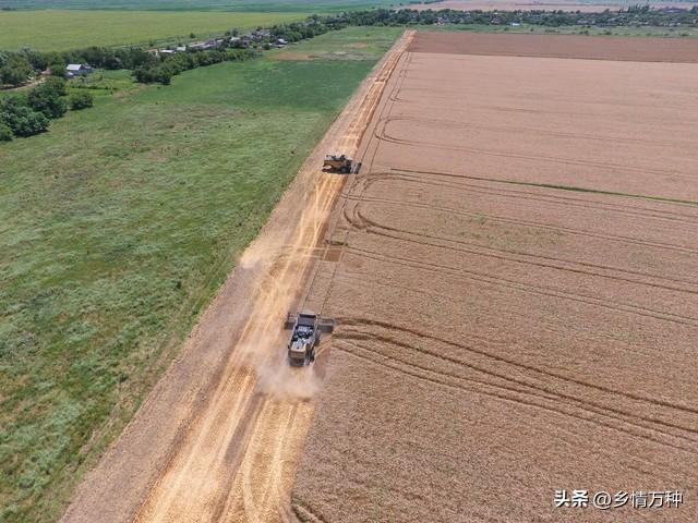 土地规划技巧：充分利用你的种植空间